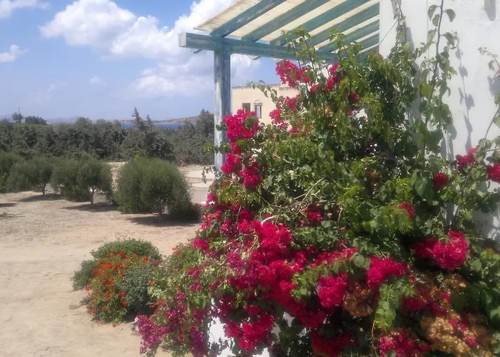 Castello Azzurro Daire *